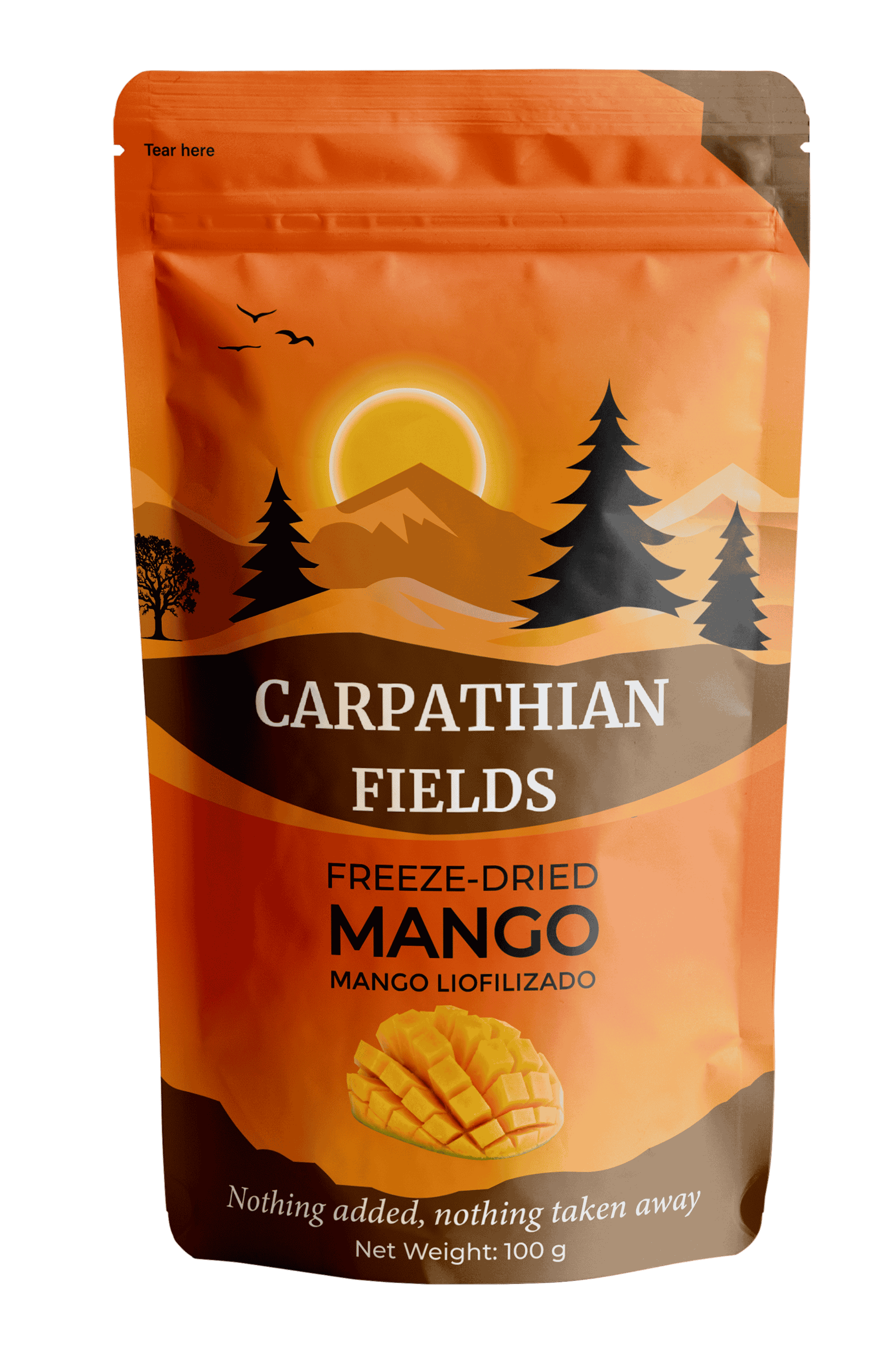 Freeze-Dried Mango Slices