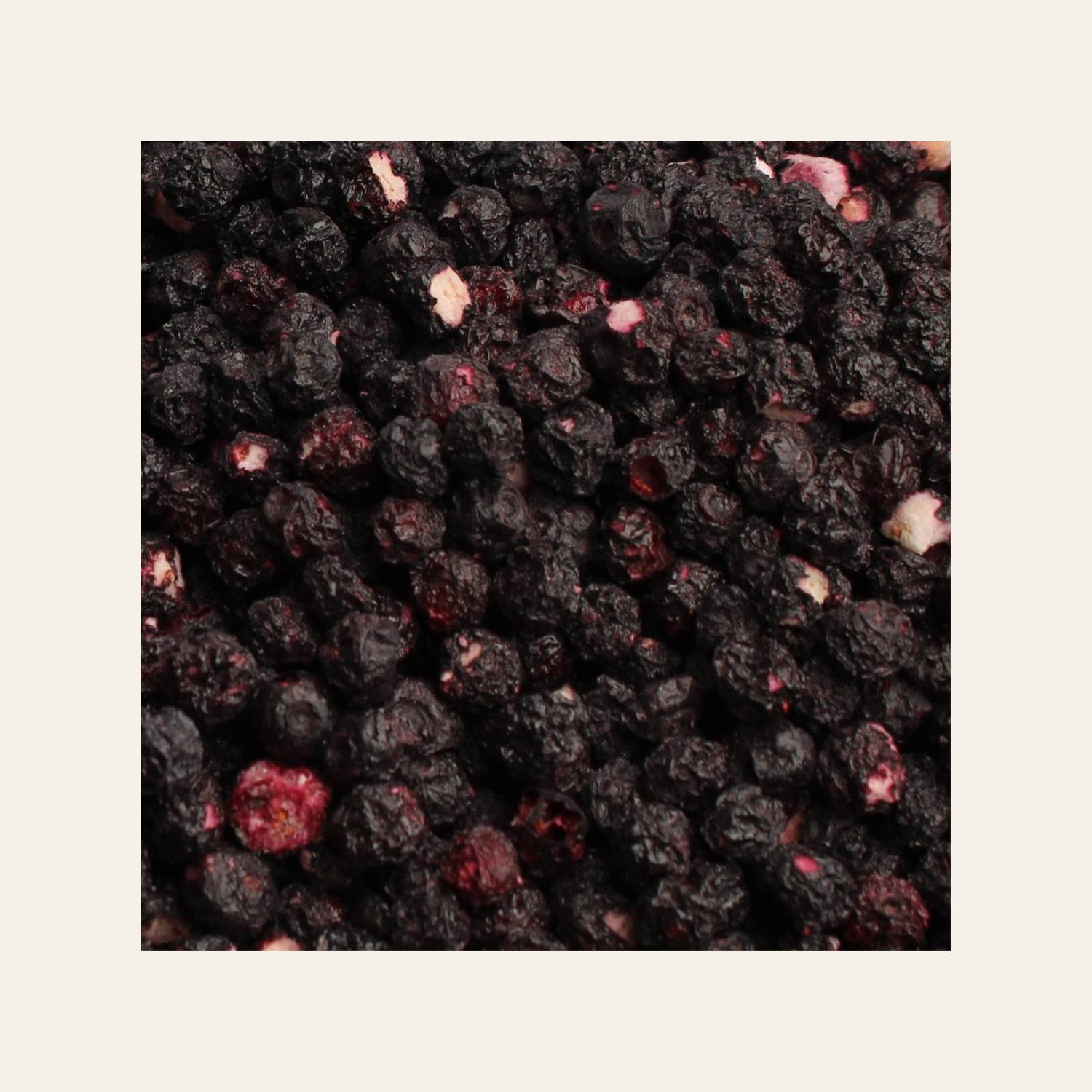 Blueberry Trio Bundle