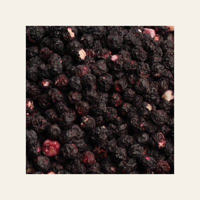 Blueberry Trio Bundle